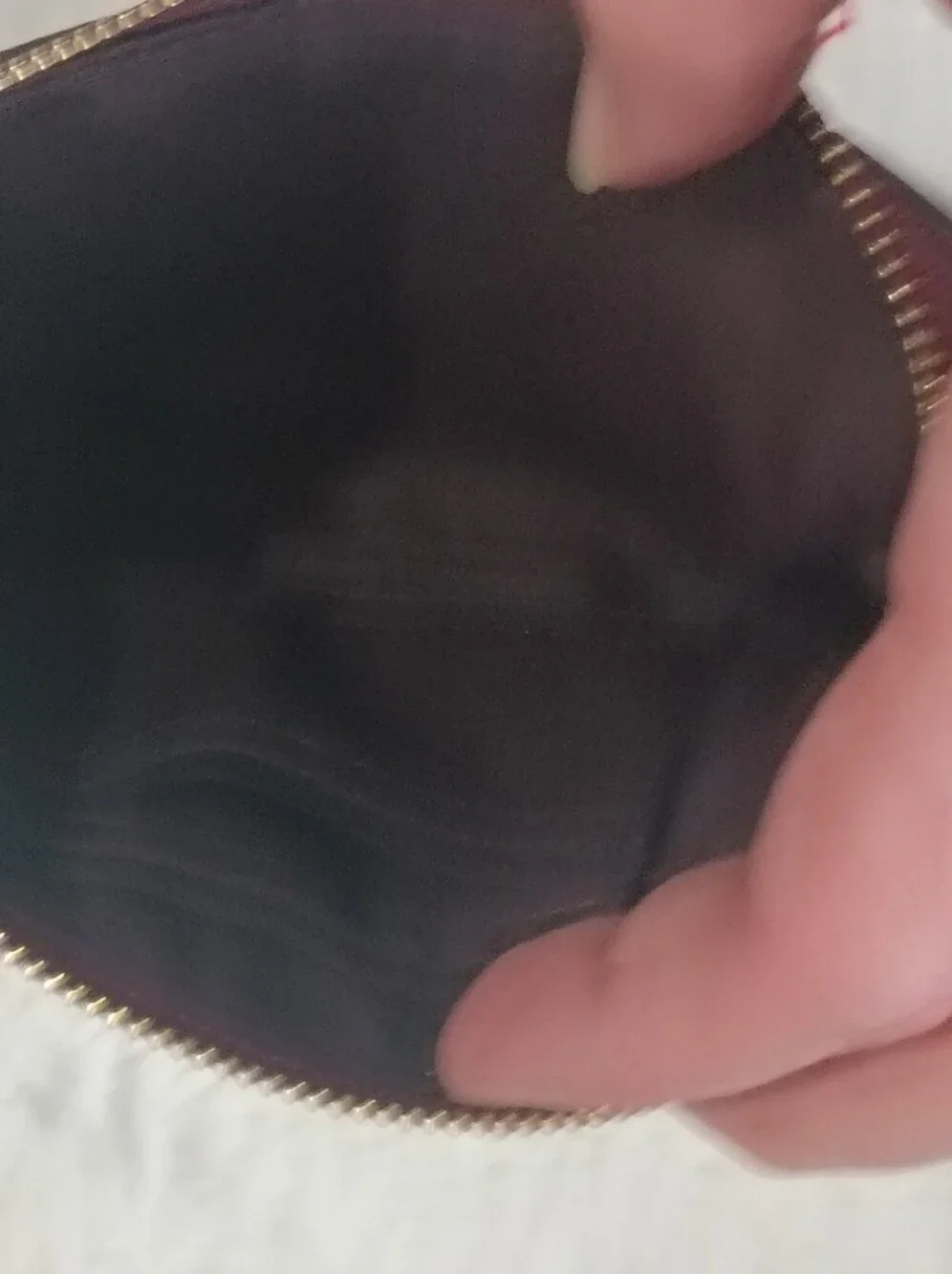 COACH Metallic Corner Zip Wristlet